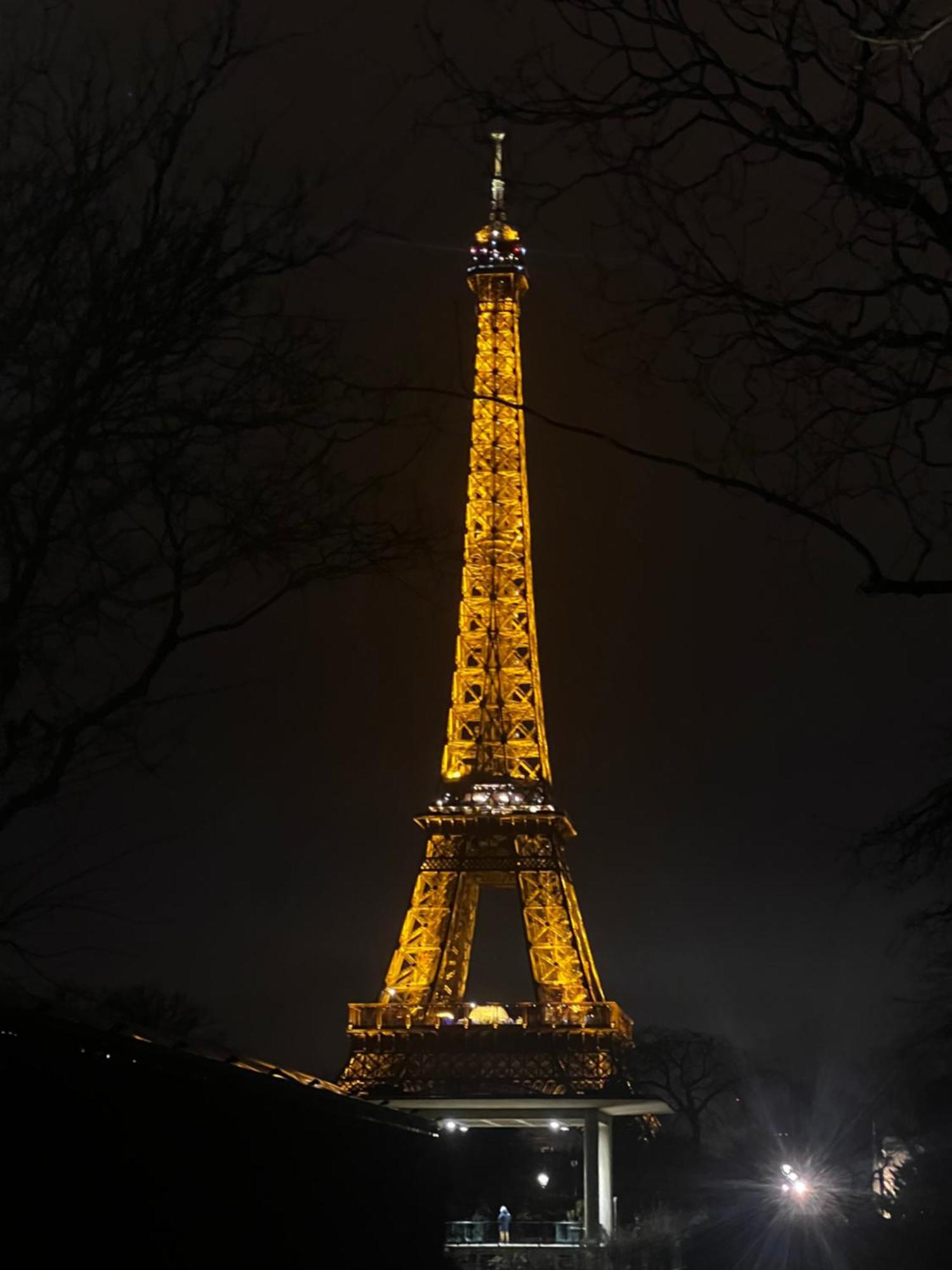 Eiffel Tower View Haussmanian Charm 2min Walk From The Eiffel Tower Gardens